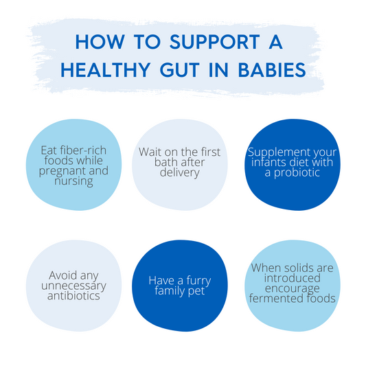 How to Support a Healthy Gut in Babies